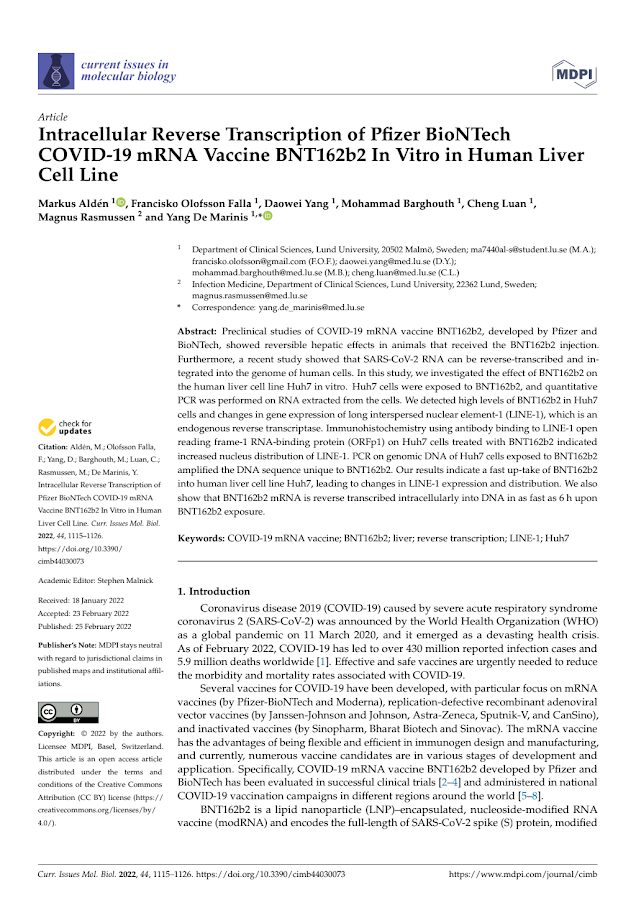 MDPI – Intracellular Reverse Transcription of Pfizer BioNTech COVID-19 mRNA Vaccine BNT162b2 In Vitro in Human Liver Cell Line