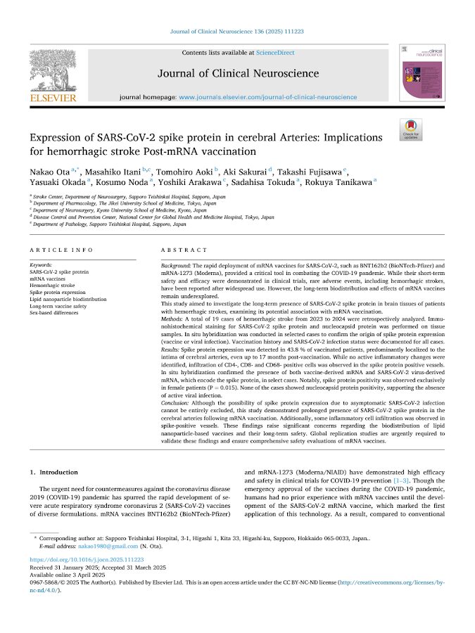 ElseVier – Expression of SARS-CoV-2 spike protein in cerebral Arteries Implications – 2025