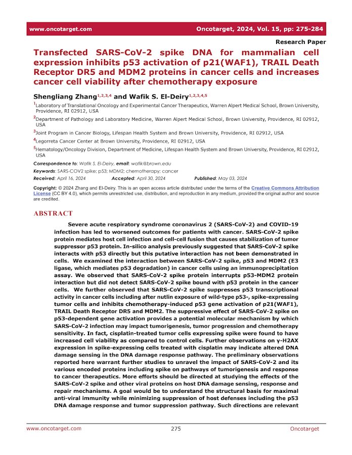 Oncotarget – Transfected SARS-CoV-2 spike DNA for mammalian cell expression