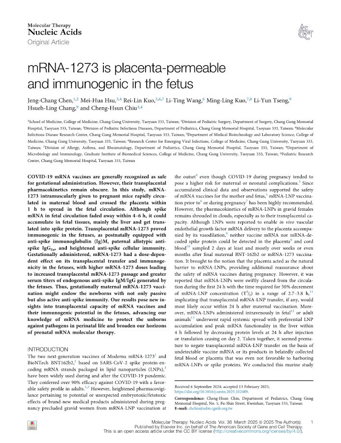 Molecular Therapy – mRNA-1273 is placenta-permeable and immunogenic in the fetus